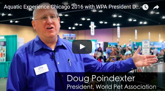 Aquatic Experience Chicago 2016 with WPA President Doug Poindexter